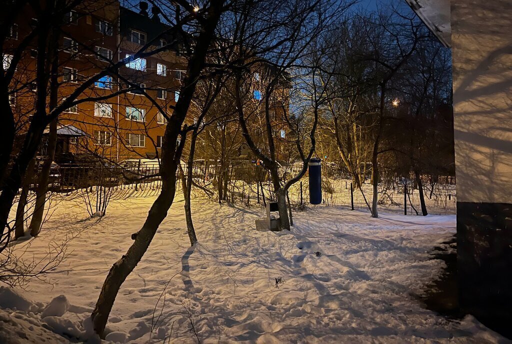 квартира г Москва метро Строгино посёлок Истра, 19, Московская область фото 17