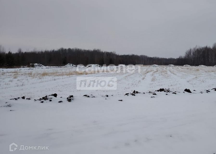 земля р-н Тюменский село Горьковка фото 2