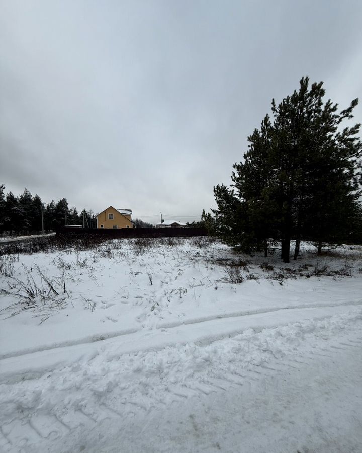 земля д Назарьево р-н мкр Петровский Луг ул Восточная 34 60 км, Луг, Дрезна, Носовихинское шоссе фото 4