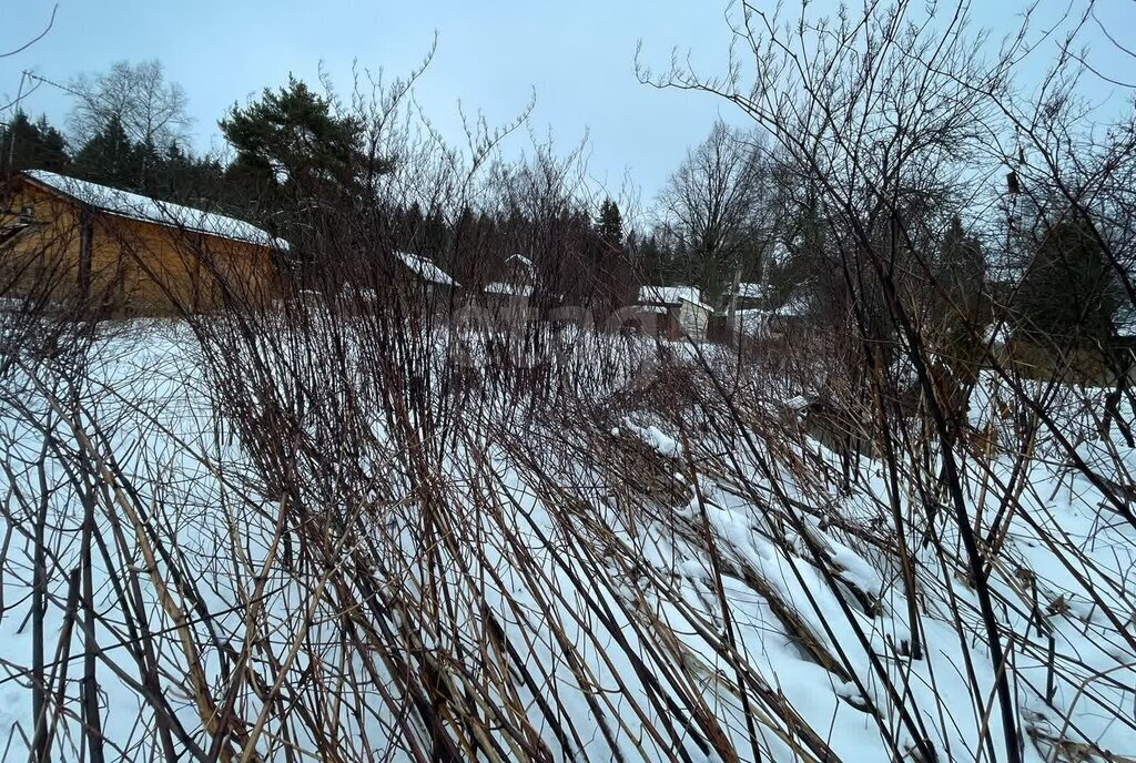 земля городской округ Сергиево-Посадский 6-я улица, 328, СНТ Отдых фото 11