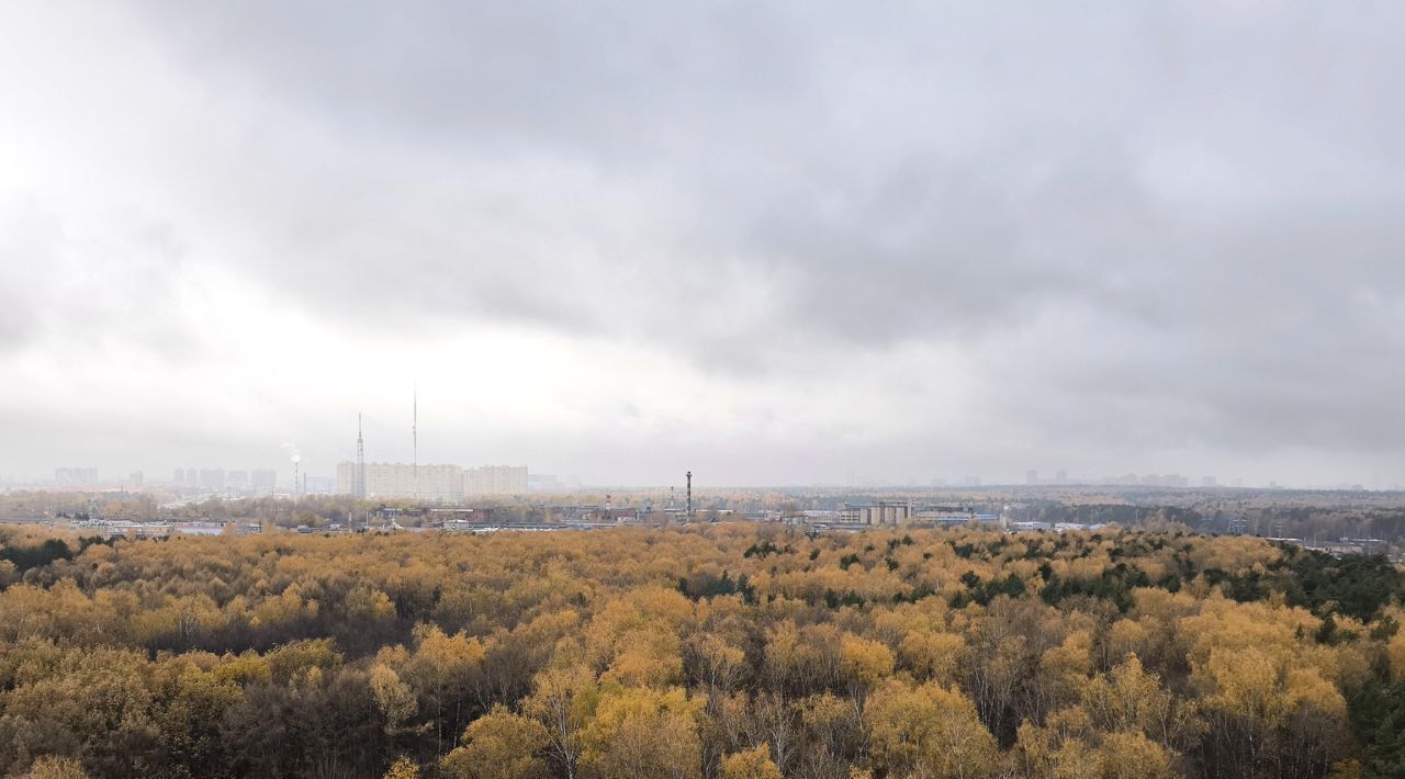 квартира г Москва метро Новокосино ул Молодёжная 11 Московская область, Балашиха фото 40