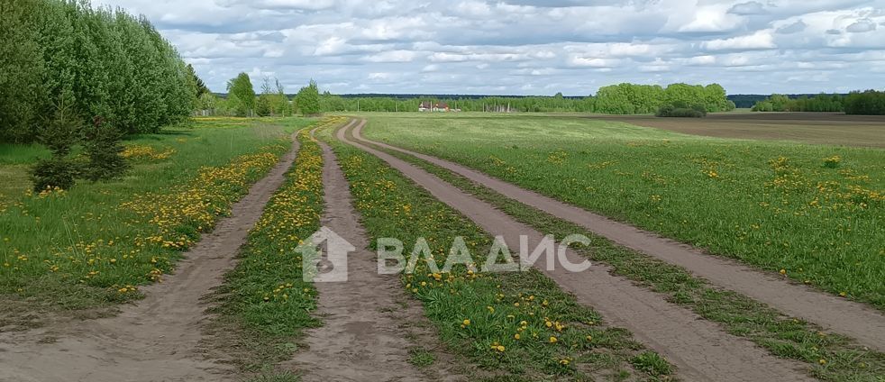 земля р-н Суздальский с Красное Селецкое муниципальное образование фото 1