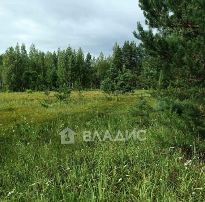 земля р-н Судогодский д Аксеново Лавровское муниципальное образование фото 3