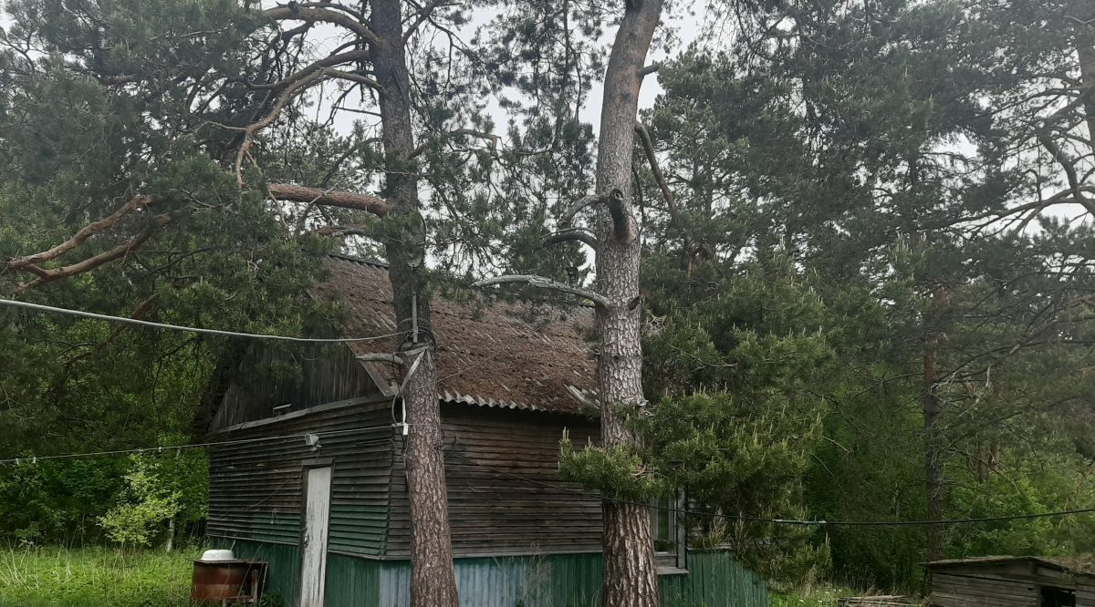 земля г Сортавала п Хаапалампи ул Центральная 6 Сортавальский муниципальный округ фото 37