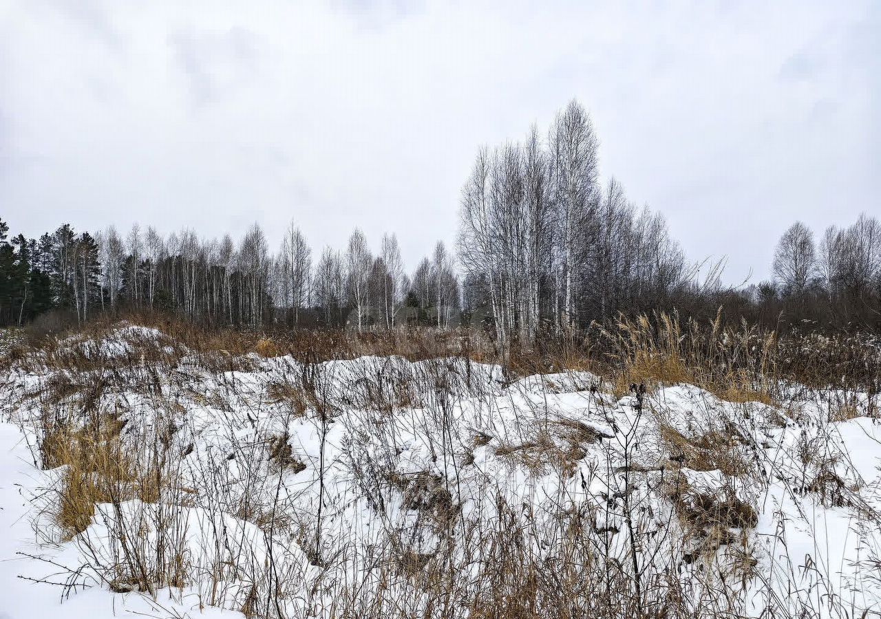 земля р-н Нижнетавдинский д Штакульская Тюмень фото 14