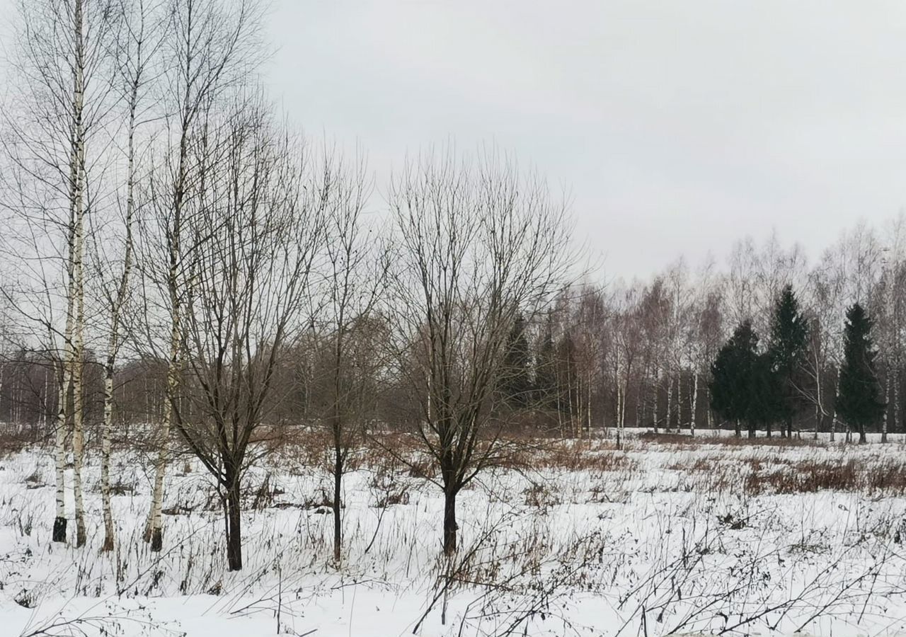 земля р-н Костромской д Палкино Бакшеевское сельское поселение, Кострома фото 3