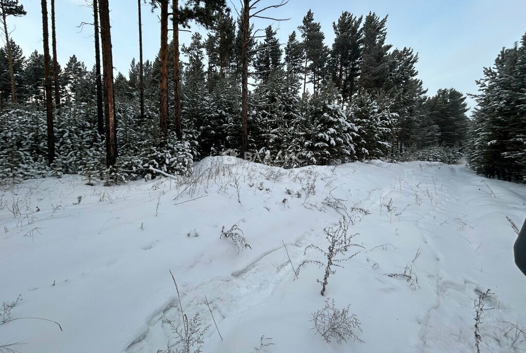 земля р-н Прибайкальский с Турунтаево мкр Солнечный 5 фото 5