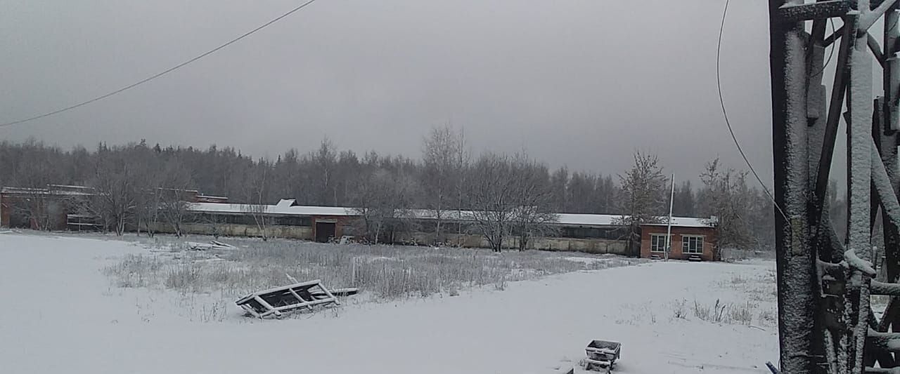 производственные, складские городской округ Егорьевск д Семеновская фото 1