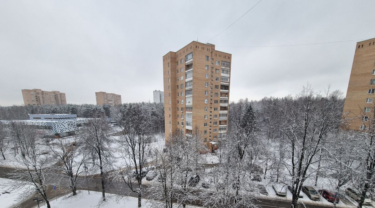 квартира п Звездный городок городской округ Звёздный городок, 17, Щёлково фото 30