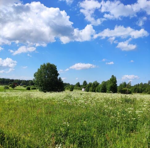 земля Нурминское с/пос, Полевой садоводческий массив фото