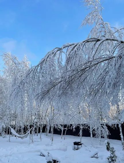 дом городской округ Павловский Посад д Дальняя снт Малахит 12 фото 28