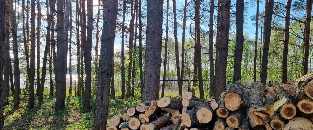 дом городской округ Можайский д Горетово ул Прибрежная 2 фото 10