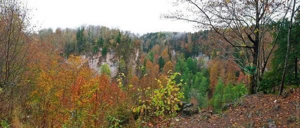 муниципальное образование Геленджик, посёлок Светлый фото