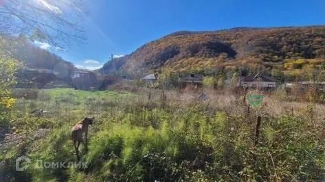 земля муниципальное образование Геленджик, село Адербиевка фото 3