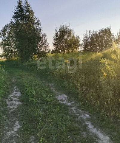 земля п Верный Путь садоводческое объединение Урожайное фото