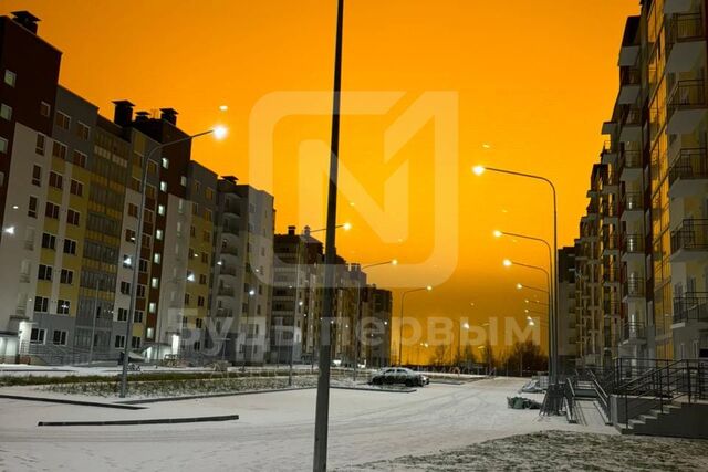 ул Рябиновая 30 Заневское городское поселение фото