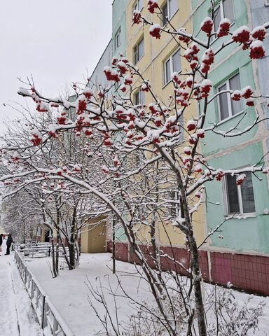 ул Комсомольская 5 Тюменская обл. фото