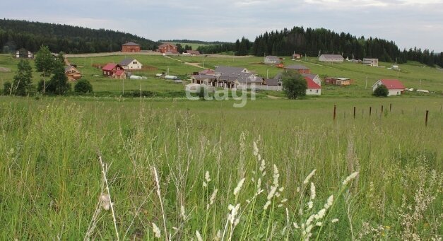 земля р-н Пермский д Большакино фото