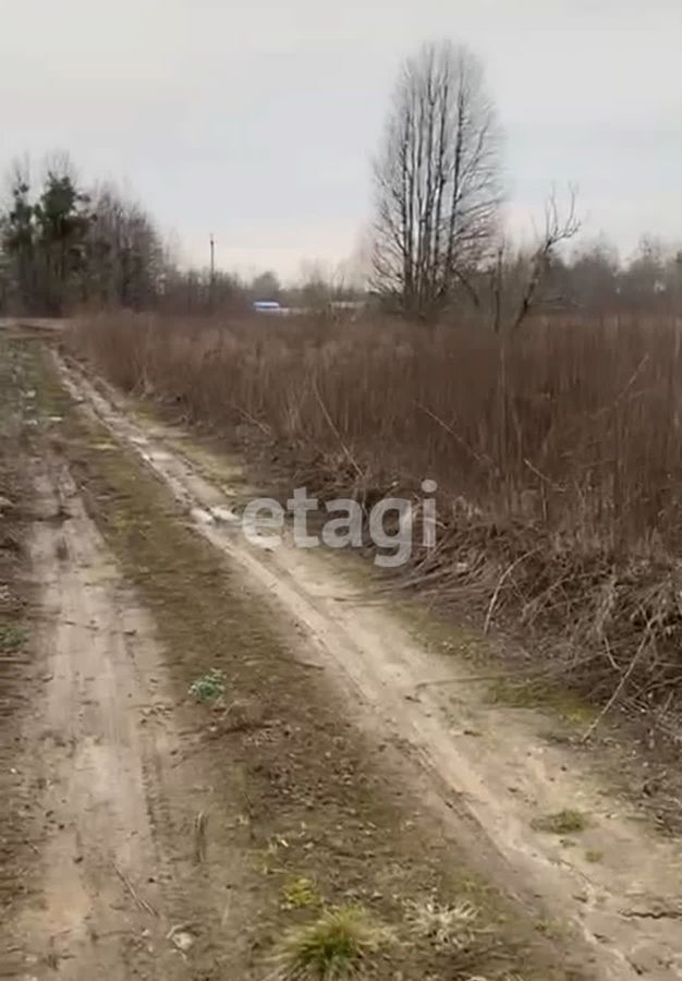 земля р-н Гвардейский п Березовка ул Дорожная Гвардейск фото 5