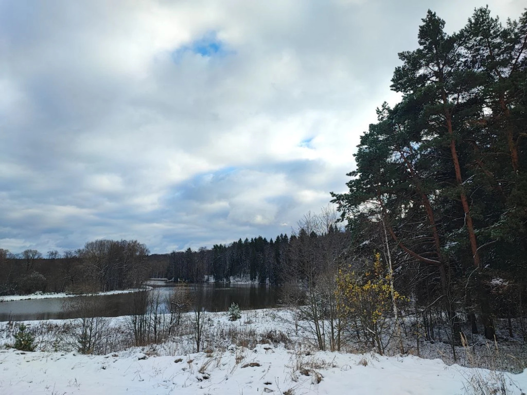 дом городской округ Ступино д Дубечино ул Центральная д. 47А, Шелково фото 33