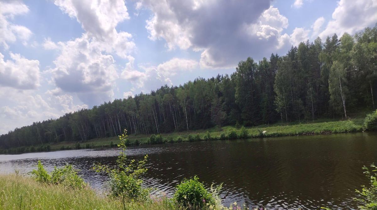 дом городской округ Талдомский п Запрудня пер Садовый 8 фото 35