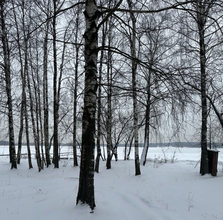 земля городской округ Мытищи д Большое Ивановское фото 16