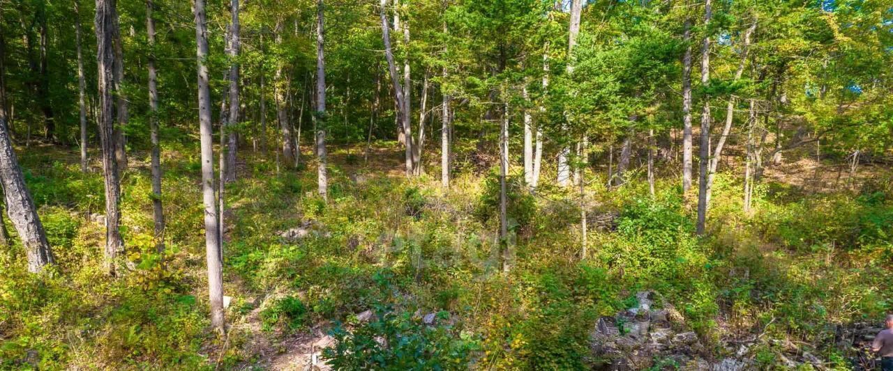 земля г Владивосток р-н Советский ул Яблоневая фото 3