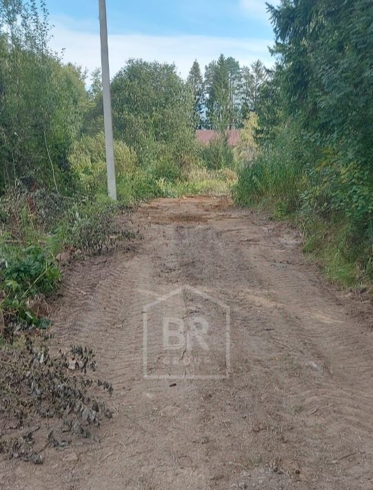 земля р-н Всеволожский снт Пальмира Агалатовское с/пос, д. Агалатово фото 5