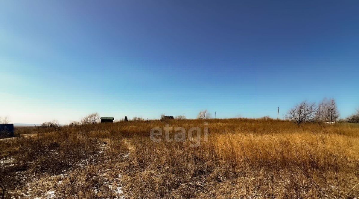 земля р-н Надеждинский п Сиреневка снт Зенит-1 фото 6