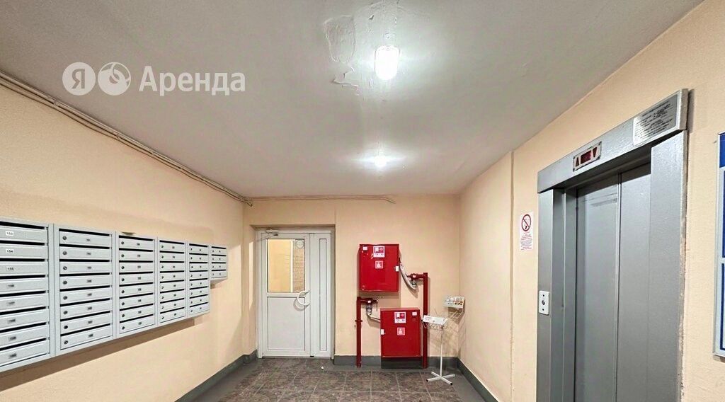 квартира г Санкт-Петербург ул Савушкина 138 Беговая фото 19