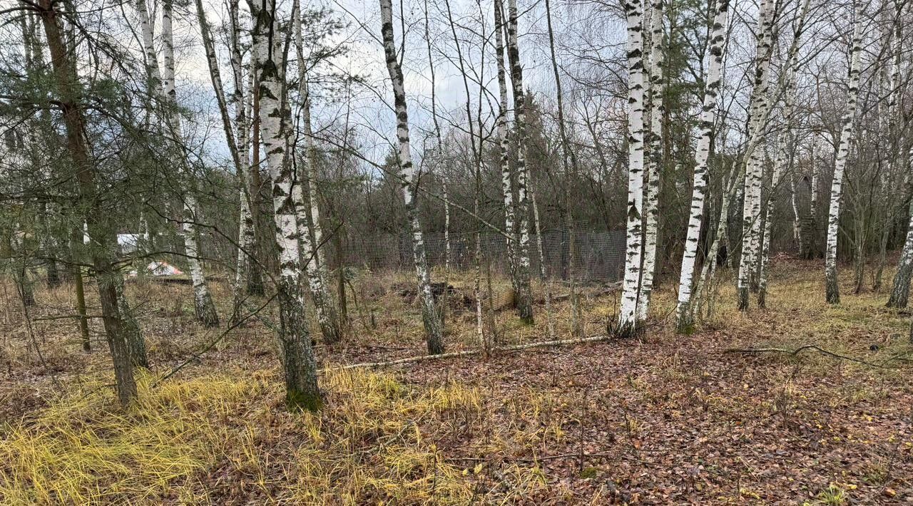 офис городской округ Богородский д Боково фото 1