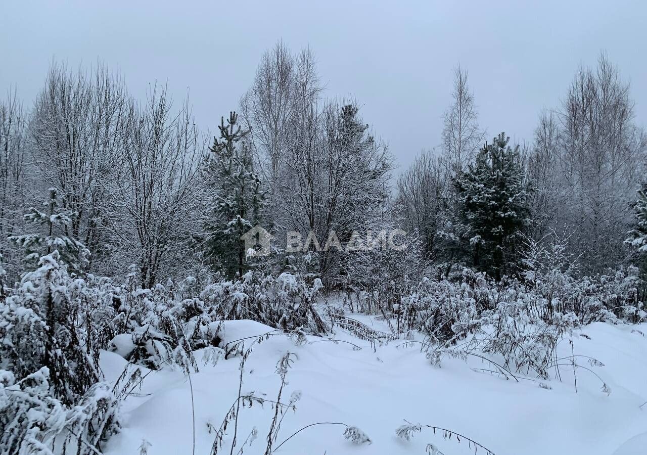 земля городской округ Щёлково д Вторая Алексеевка ул Заповедная 34 км, Красноармейск, Фряновское шоссе фото 4