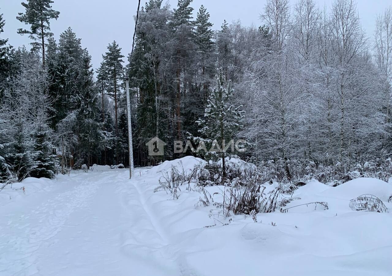 земля городской округ Щёлково д Вторая Алексеевка ул Заповедная 34 км, Красноармейск, Фряновское шоссе фото 5