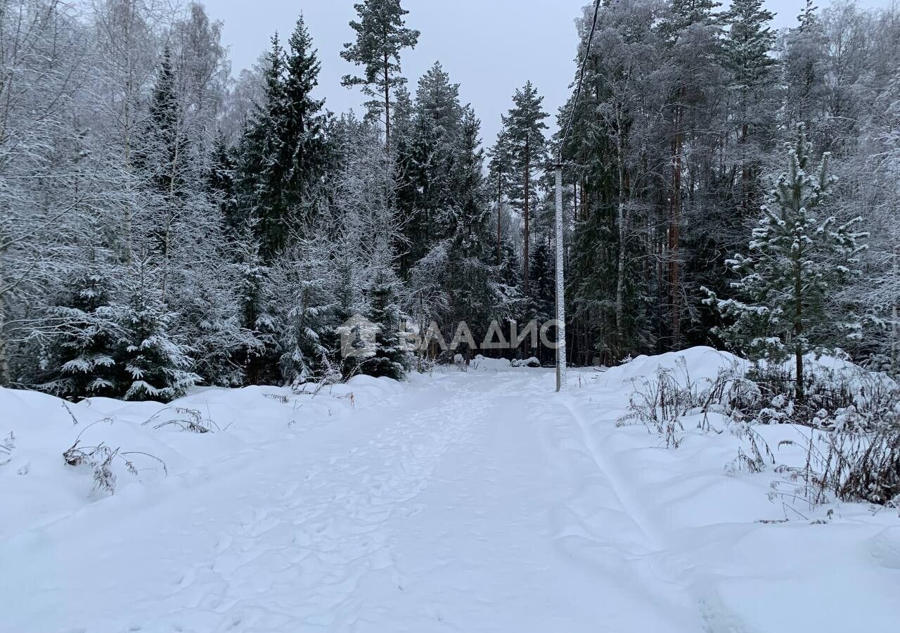 земля городской округ Щёлково д Вторая Алексеевка ул Заповедная 34 км, Красноармейск, Фряновское шоссе фото 6