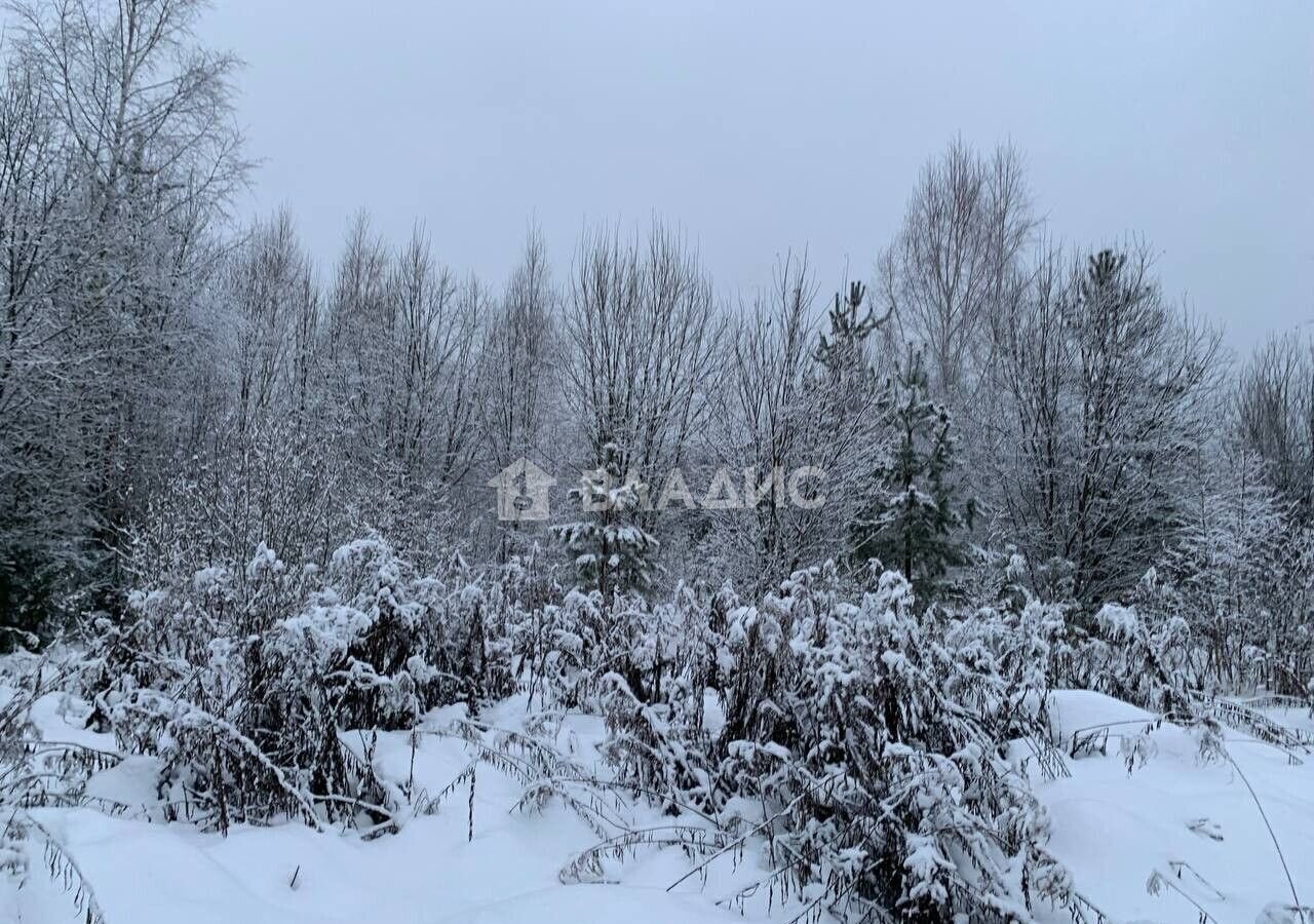 земля городской округ Щёлково д Вторая Алексеевка ул Заповедная 34 км, Красноармейск, Фряновское шоссе фото 6