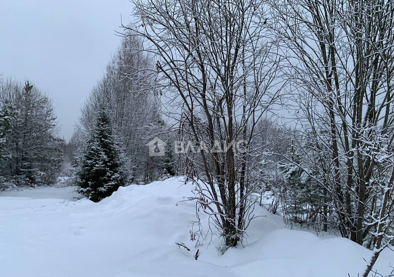 земля городской округ Щёлково д Вторая Алексеевка ул Заповедная 34 км, Красноармейск, Фряновское шоссе фото 7