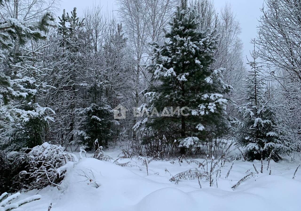 земля городской округ Щёлково д Вторая Алексеевка ул Заповедная 34 км, Красноармейск, Фряновское шоссе фото 8