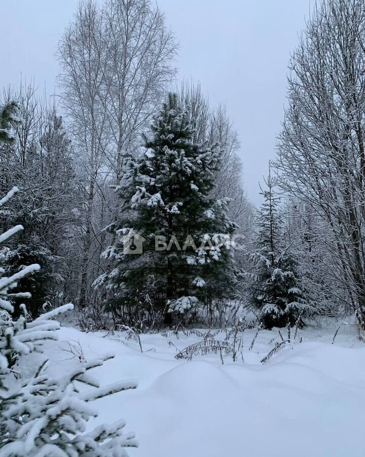 земля городской округ Щёлково д Вторая Алексеевка ул Заповедная 34 км, Красноармейск, Фряновское шоссе фото 9