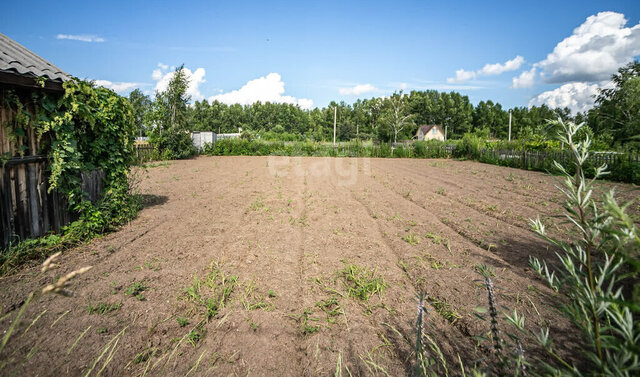 тер. СПК Восток-2 сельсовет, Рябиновая улица, Мичуринский фото