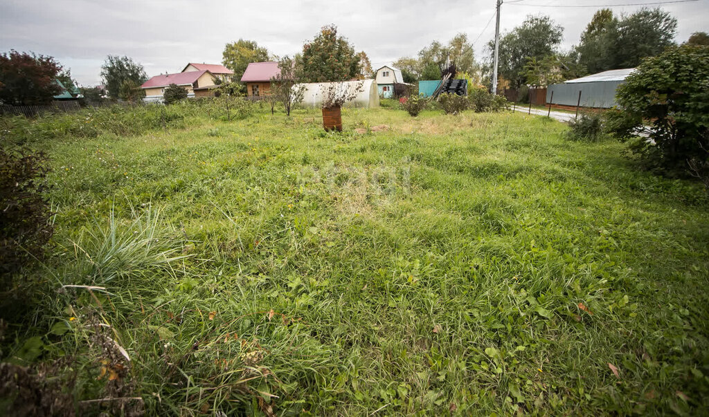 земля г Искитим снт Дружба ул Остров фото 2