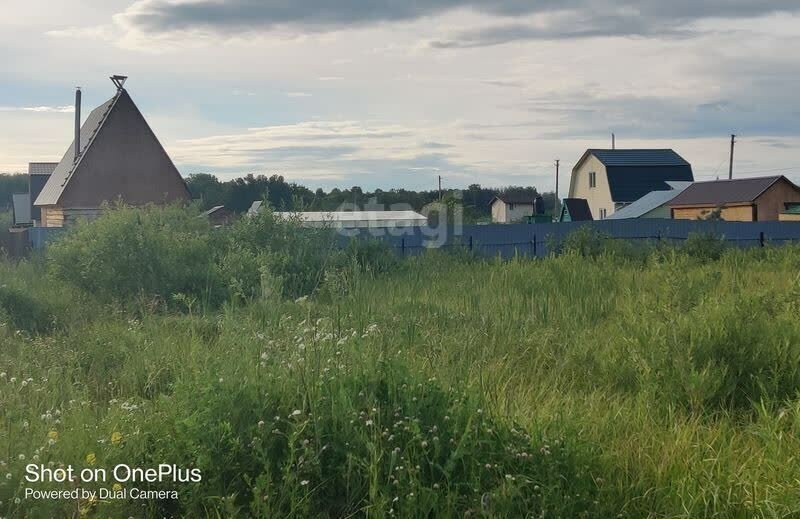 земля р-н Искитимский снт Связист сельсовет, Мичуринский фото 3