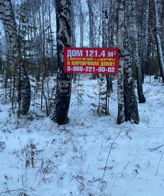 земля Морозовский сельсовет, садовое некоммерческое товарищество Раздолье фото 4