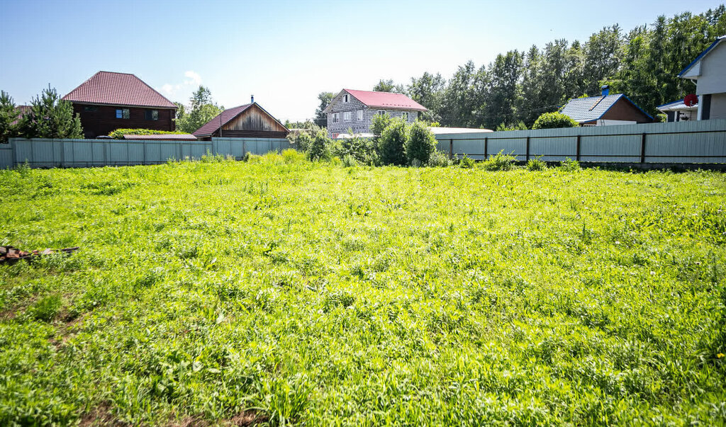 земля р-н Искитимский снт Исток сельсовет, Мичуринский фото 4