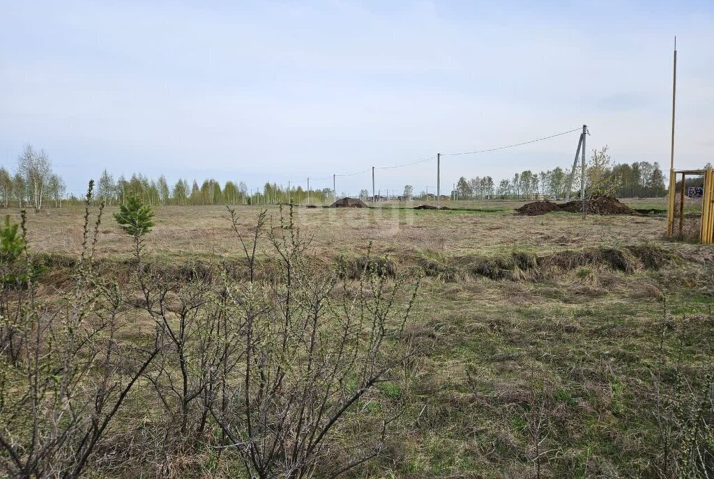 земля г Бердск жилой район «Раздольный» фото 3