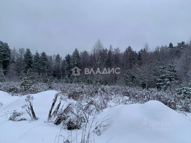 земля д Вторая Алексеевка ул Заповедная фото