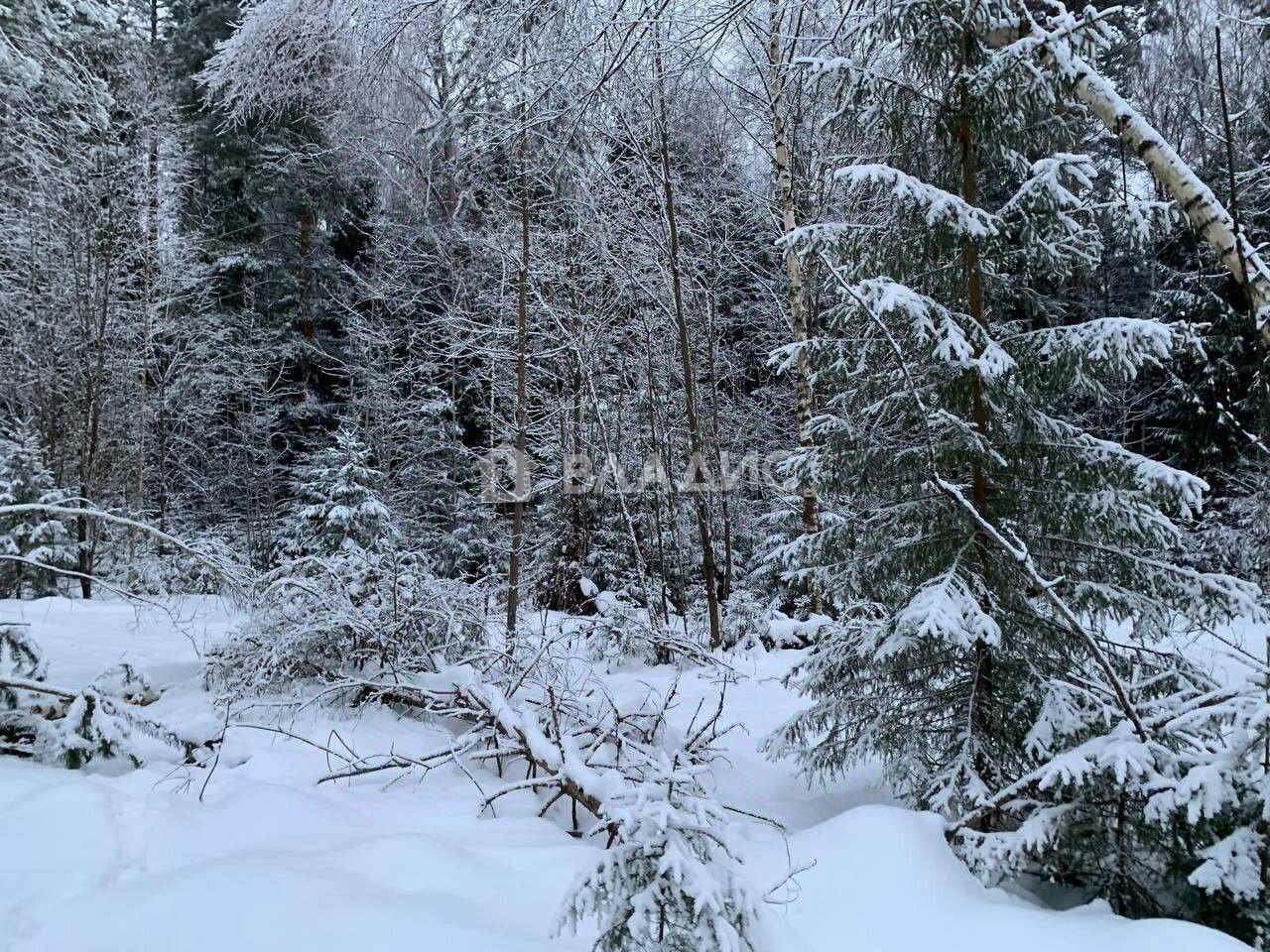 земля городской округ Щёлково д Вторая Алексеевка ул Заповедная фото 1