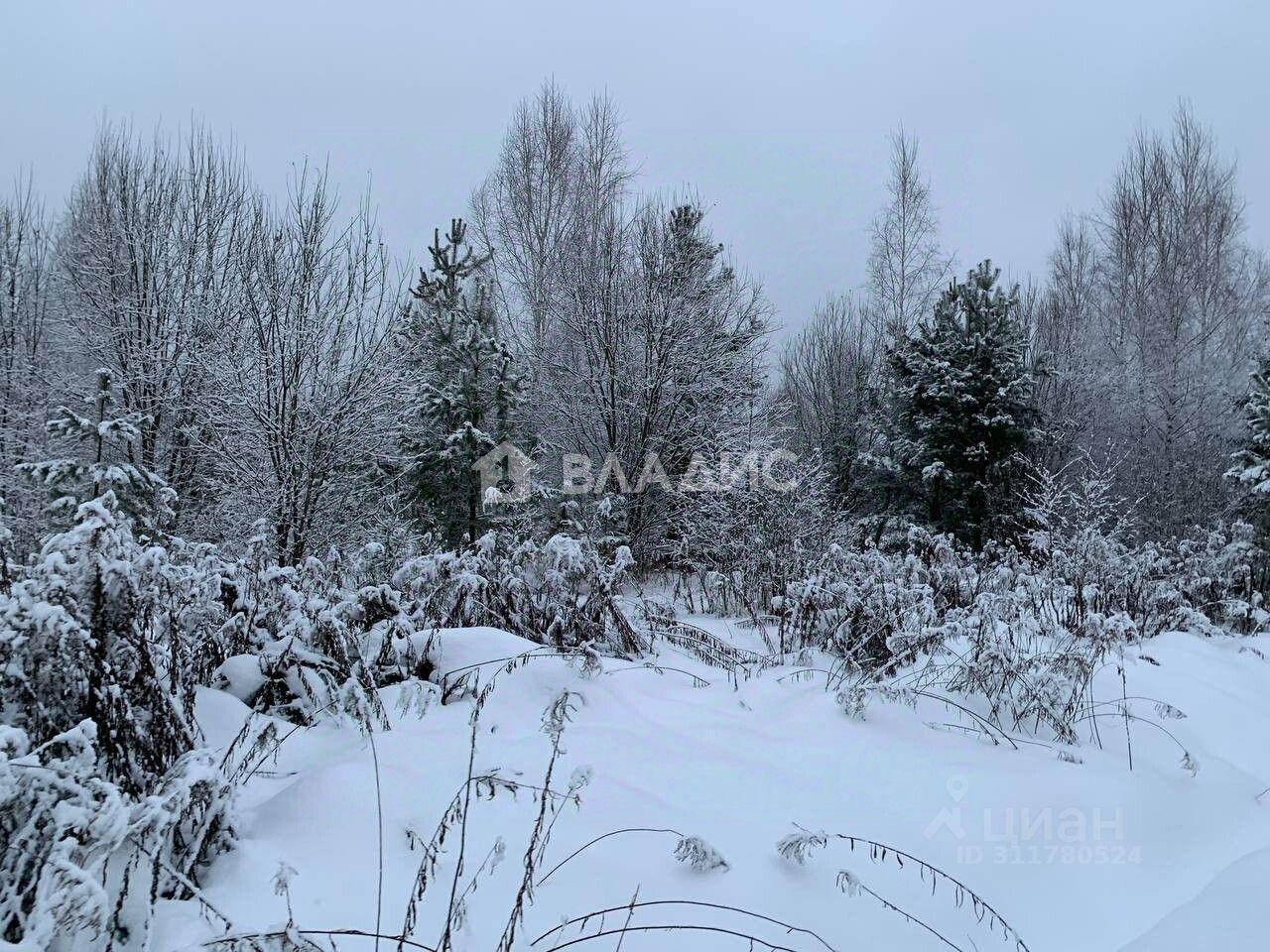 земля городской округ Щёлково д Воря-Богородское ул Покровская Красноармейск фото 4