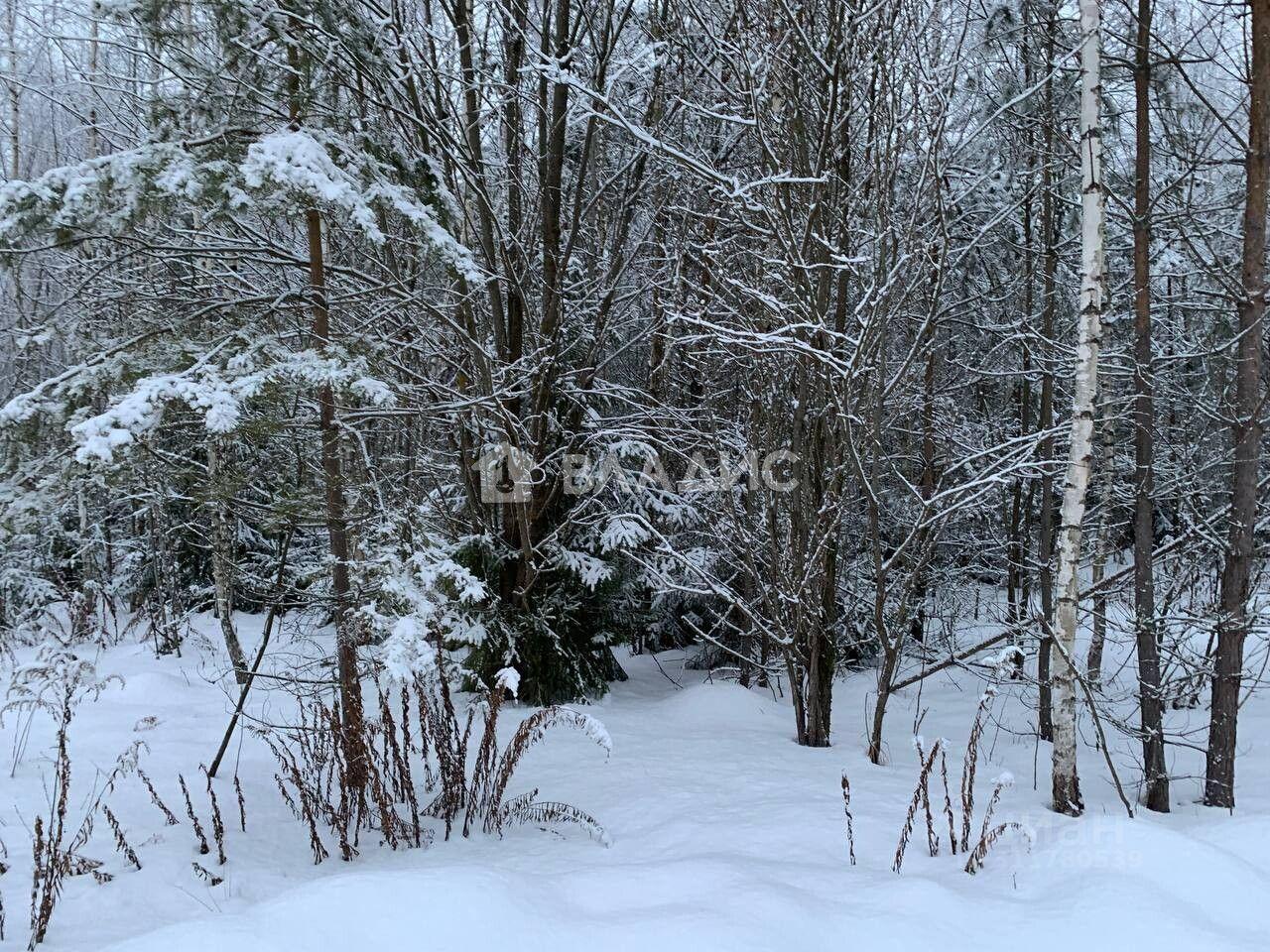 земля городской округ Щёлково д Вторая Алексеевка ул Заповедная фото 4