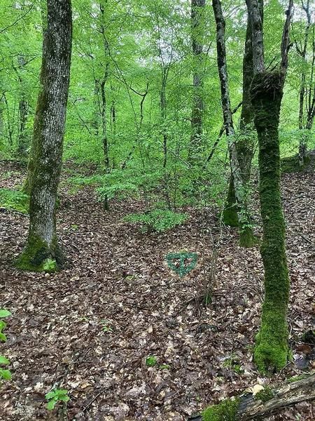 земля муниципальное образование Геленджик, село Адербиевка фото 1