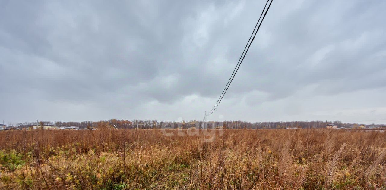 земля г Хабаровск р-н Железнодорожный ул Жемчужная 10 фото 4